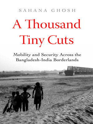 cover image of A Thousand Tiny Cuts